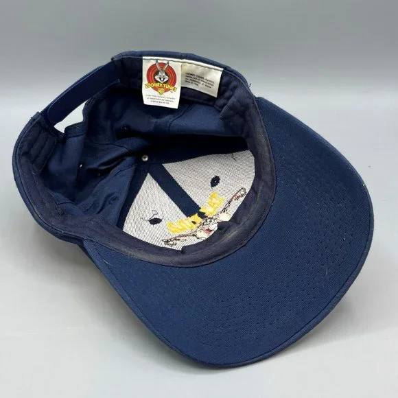 Vintage 1998 Taz Rulz Looney Tunes Snapback Adjustable Blue Hat Tasmanian Devil